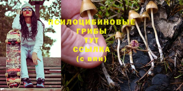 кокс Аркадак